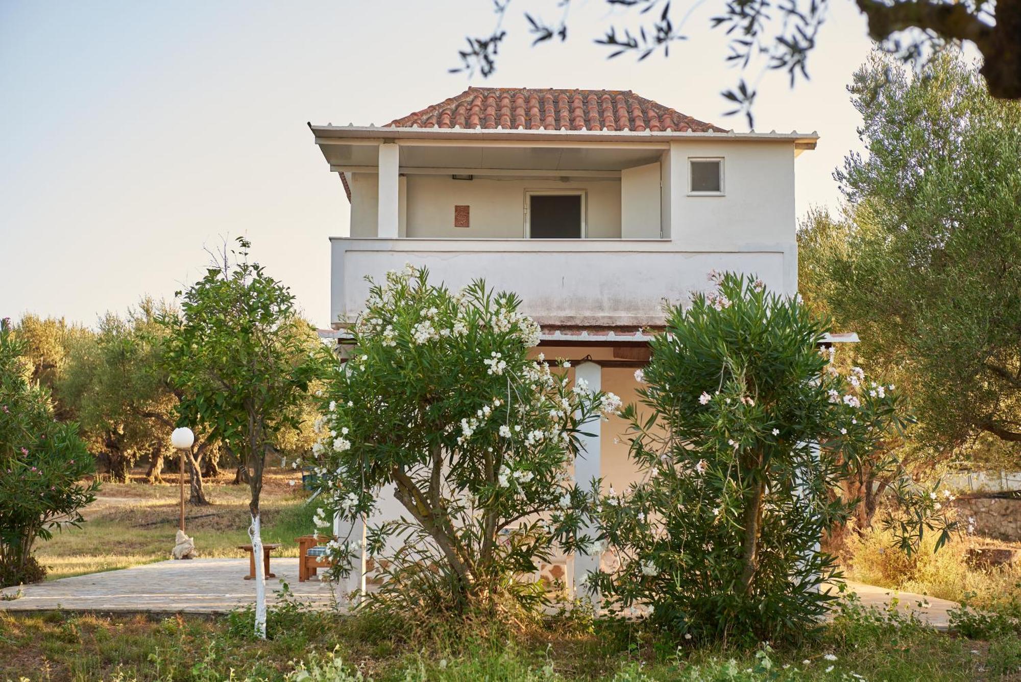 Villa Rania / Zante Drosia Kipszéli Kültér fotó