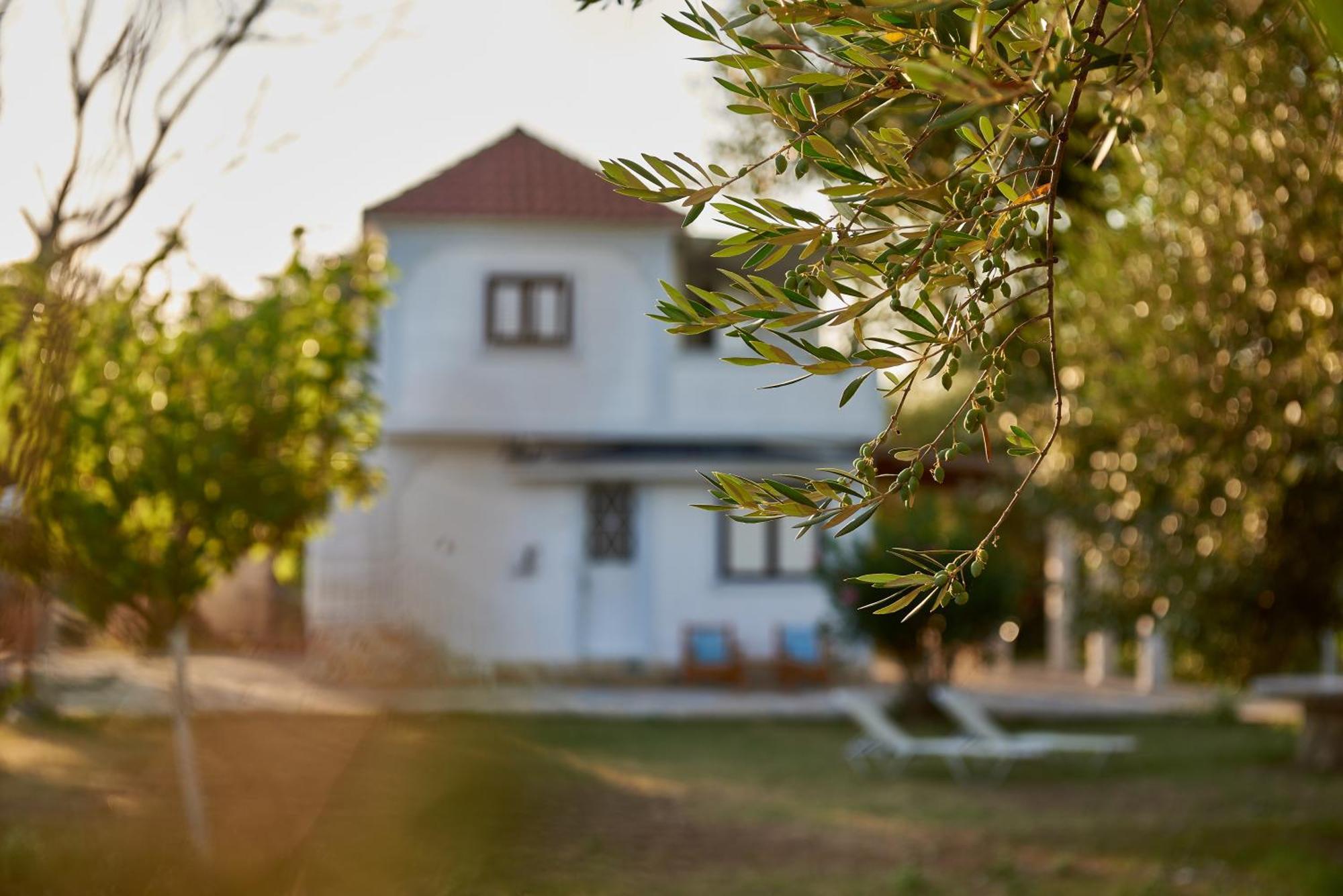 Villa Rania / Zante Drosia Kipszéli Kültér fotó